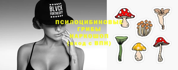 тгк Армянск
