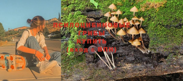 прущий лед Арсеньев